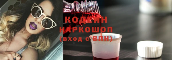 дмт Бикин