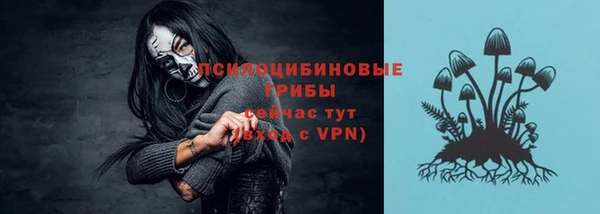 стафф Кулебаки