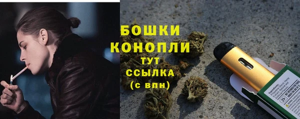 стафф Кулебаки