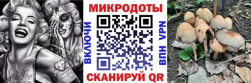 кракен сайт  Нелидово  Псилоцибиновые грибы Cubensis 